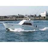 Fish Local Knowledge - Boat  & Yacht Charters in Fort Lauderdale