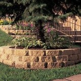 DanScapes Services - Landscape Architects in Orange Park
