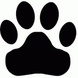 Andrya's Animal House - Pet Stores in Hollywood