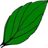Landscape Remedies Inc - Landscape Architects in Orange Park