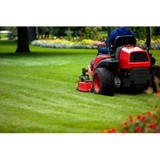 Reliable Services - Landscaping in Panama City