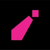 The Pink Collective - Web Design & Development in Fort Lauderdale