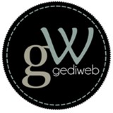 Gediweb Solutions - Web Design & Development in Fort Lauderdale