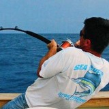 Sea Leveler Sport Fishing Charters - Other in Cape Canaveral