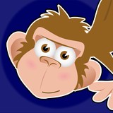 Flying Chimp Media - Web Design & Development in Fort Lauderdale