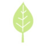 Pure And Simple Baby - Wholesale in Pompano Beach