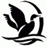 East Coast Golf Ball CO - Wholesale in Pompano Beach