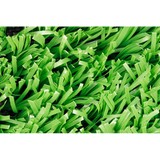 OL Keep It Green Lawn Care Services Inc - Landscaping in Hollywood