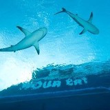 Blackbeard Charters Inc - Boat Tours in Fort Lauderdale