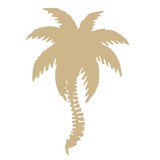 Coastal Chiropractic - Chiropractors in Pompano Beach