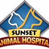Sunset Animal Hospital - Veterinarians/Vets in Fort Lauderdale