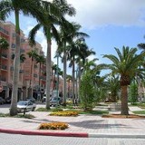 Alco Pest Control - Pest Control in Pompano Beach