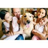 Sabal Palm Animal Hospital, P A - Veterinarians/Vets in Naples