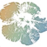 Gardenbleu - Landscape Architects in Naples