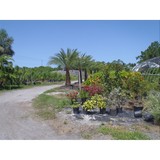 Waterbury Landscaping - Landscaping in Palm Bay