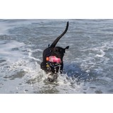 Riverview Pet Spa - Pet Groomers in Melbourne