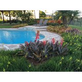 Showcase Gardens Inc - Landscape Architects in Fort Lauderdale