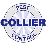 Collier Pest Control - Pest Control in Naples
