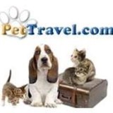 Pet Travel Inc - Pet Stores in Fort Lauderdale