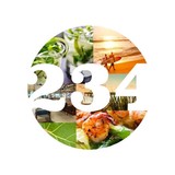 Ocean 234 - Restaurants in Deerfield Beach