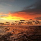 Naples Marina & Excursions - Home Builders & Building Contractors in Naples