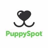 Purebred Breeders LLC - Pet Stores in Fort Lauderdale