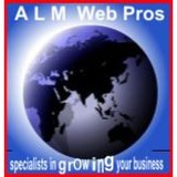 ALM Web Pros, LLC - Marketing in Pompano Beach
