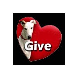 National Greyhound Foundation - Other in Homosassa