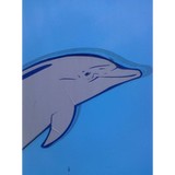 Dolphin Mobile Detail LLC - Carpenters & Joiners in Melbourne