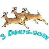 3Deers - Web Design & Development in Pompano Beach