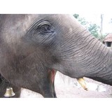 Sanctuary - Yoga in Gainesville