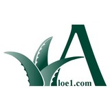 Stockton Aloe 1 - Wholesale in Pompano Beach