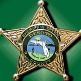 DE Soto County Sheriff's Department - Other in Arcadia
