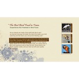 Birdhouse - Pet Stores in Fort Lauderdale