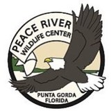 Peace River Wildlife Center - Other in Punta Gorda