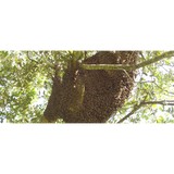 Pro-Tech Pest Control Speclsts - Pest Control in Naples