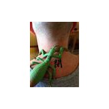 Grand Mantis Acupuncture - Medical Centers in Hollywood