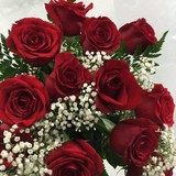 Crevasse's Regency Florist Inc - Florists in Gainesville