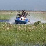 Swampland Airboat Tours - Other in Everglades City