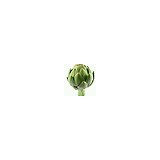 Artichoke & Company - Caterers in Naples