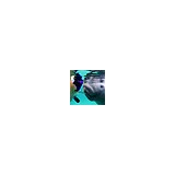 Aquavision Tours - Other in Crystal River