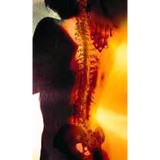 Legault Gerard DC - Chiropractors in Hollywood