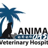 Animal Oasis Vet Hospital - Veterinarians/Vets in Naples