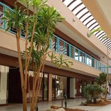 Courtyard Construction - Home Builders & Building Contractors in Fort Lauderdale