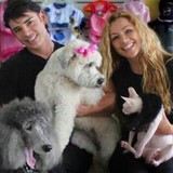 Tailwaggers Grooming - Pet Groomers in Hollywood