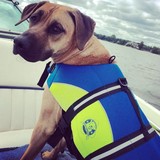 Paw Marine Inc - Boat & Yacht Dealers in Fort Lauderdale