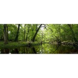 Santa Fe Canoe Outpost - Other in High Springs