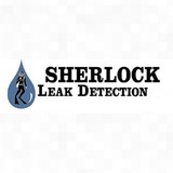 Sherlock Leak Detection - Other in Port Charlotte