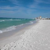 Suds Weezer - Other in Panama City