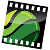 Green Pea Media - Web Design & Development in Gainesville